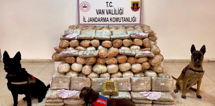Van’da 333 Kilo Skunk Ele Geçirildi?v=1