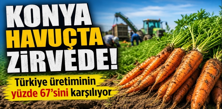 Konya Havuçta Zirvede Türkiye Üretiminin Yüzde 67’sini Karşılıyor?v=1