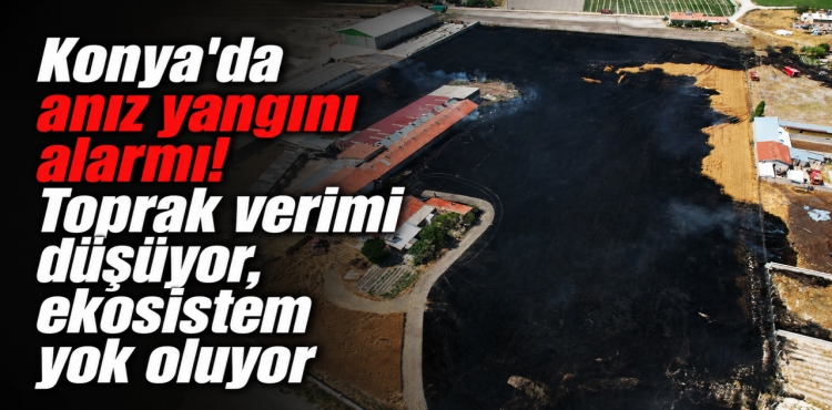 Konya’da Anız Yangını Alarmı Toprak Verimi Düşüyor, Ekosistem Yok Oluyor