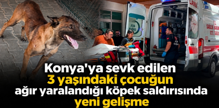Konya’ya Sevk Edilen 3 Yaşındaki Çocuğun Ağır Yaralandığı Köpek Saldırısında Yeni Gelişme