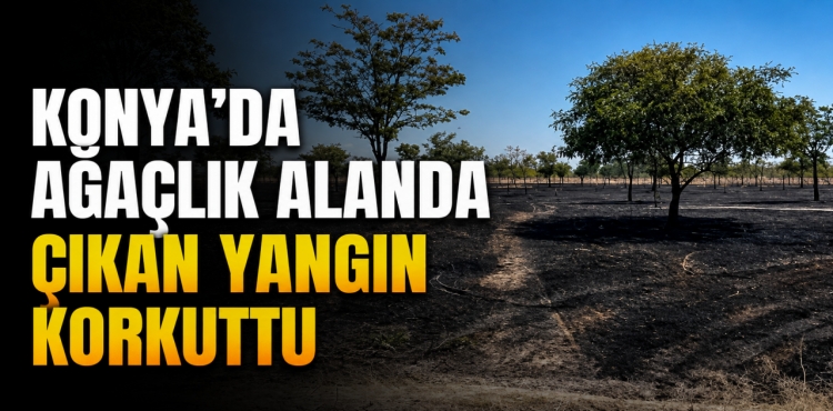 Konya'da ağaçlık alanda çıkan yangın korkuttu?v=1