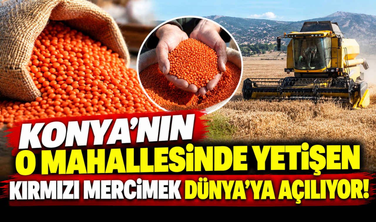Konya Beyşehir'in Kırmızı Altını Avrupa ve Orta Doğu yolunda