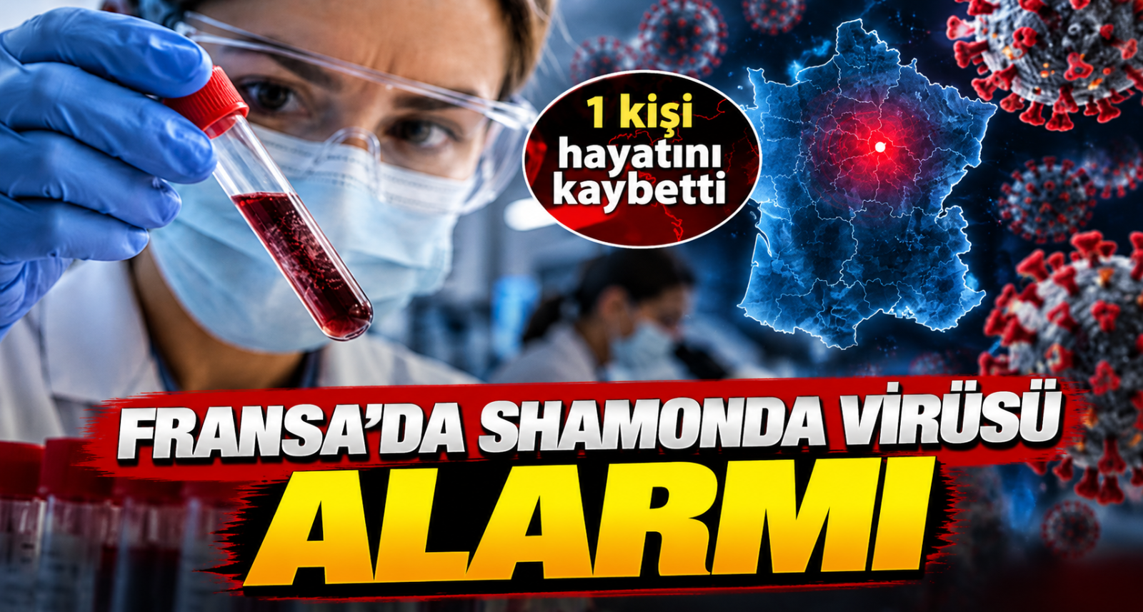 Fransa'da Shamonda Virüsü İlk Kez Bir İnsanda Tespit Edildi