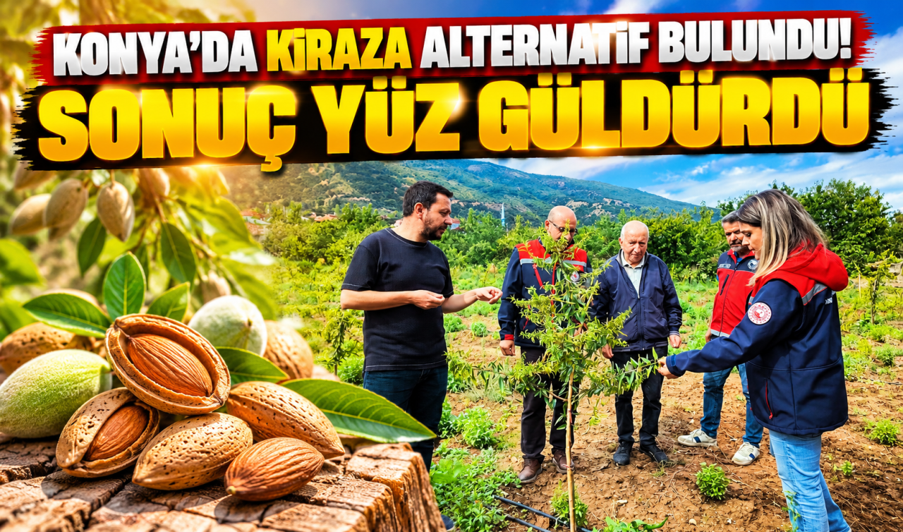 Konya’da Kiraza Alternatif Bulundu Sonuç Yüz Güldürdü