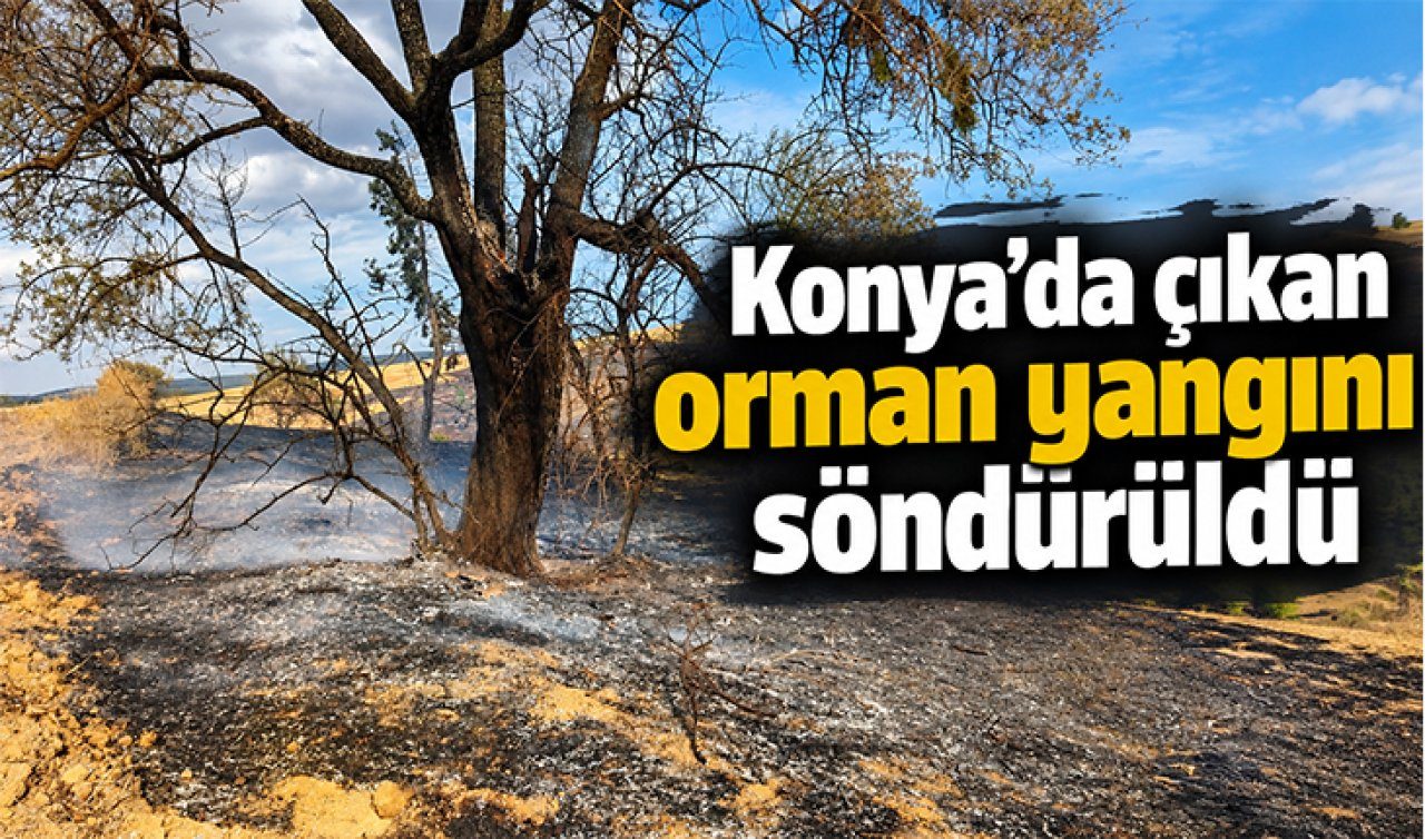 Konya’da Çıkan Orman Yangını Söndürüldü