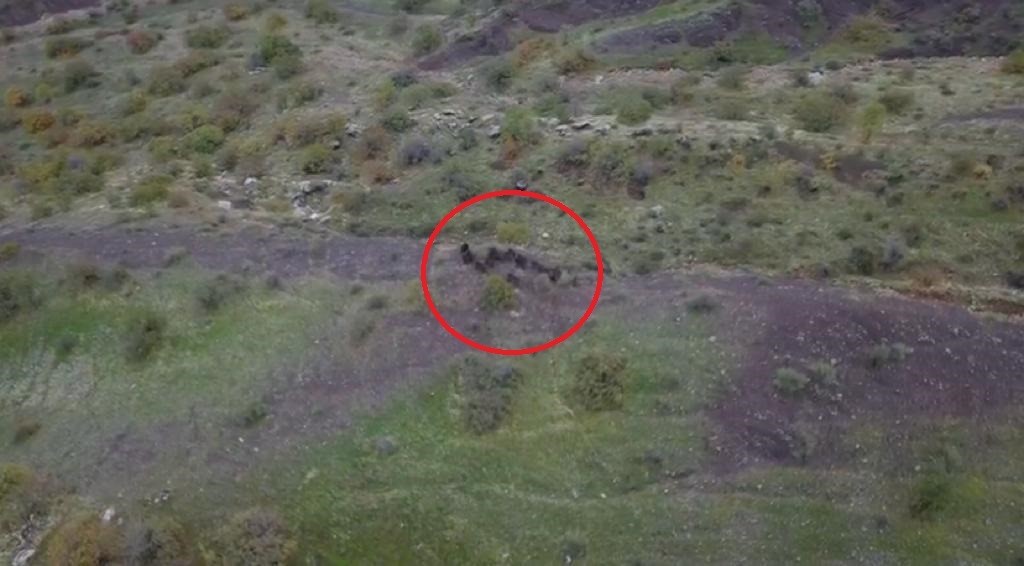 Diyarbakır’da domuz sürüsünün kaçışı dronla görüntülendi

