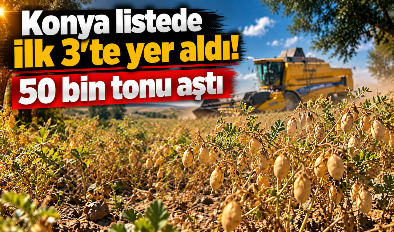 Konya Listede İlk 3’te Yer Aldı 50 Bin Tonu Aştı