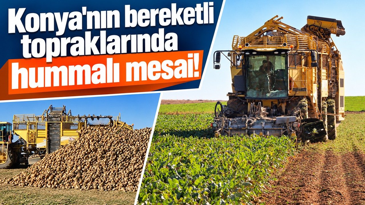 Konya Ovası'nda Hasat Mesaisi Sürüyor