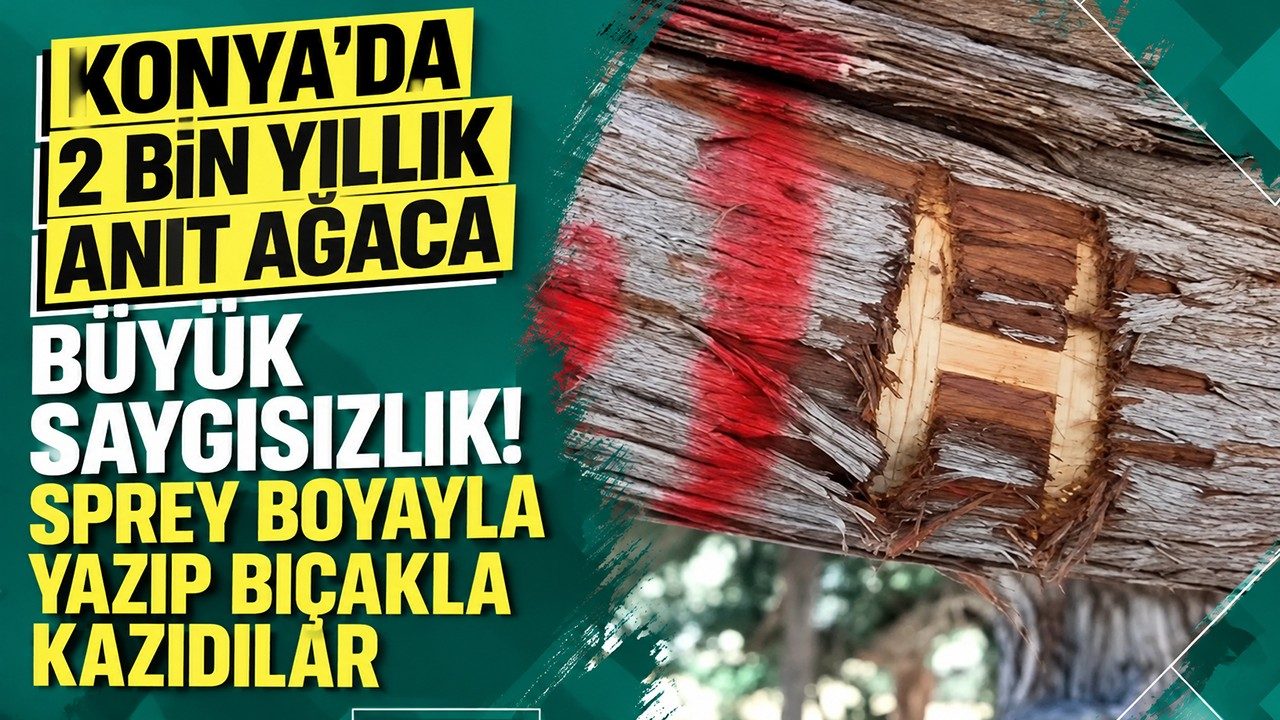 Konya’da 2 Bin Yıllık Anıt Ağaca Büyük Saygısızlık Sprey Boyayla Yazıp Bıçakla Kazıdılar