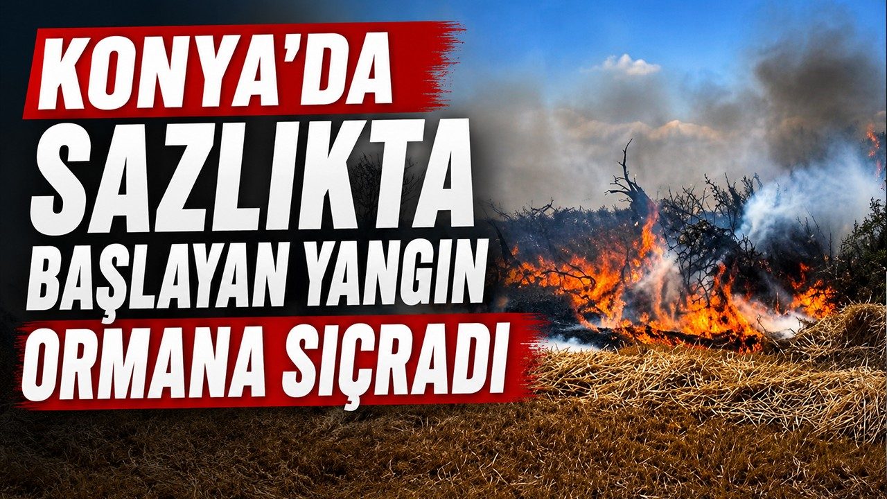 Konya'da Sazlıkta Başlayan Yangın Ormana Sıçradı